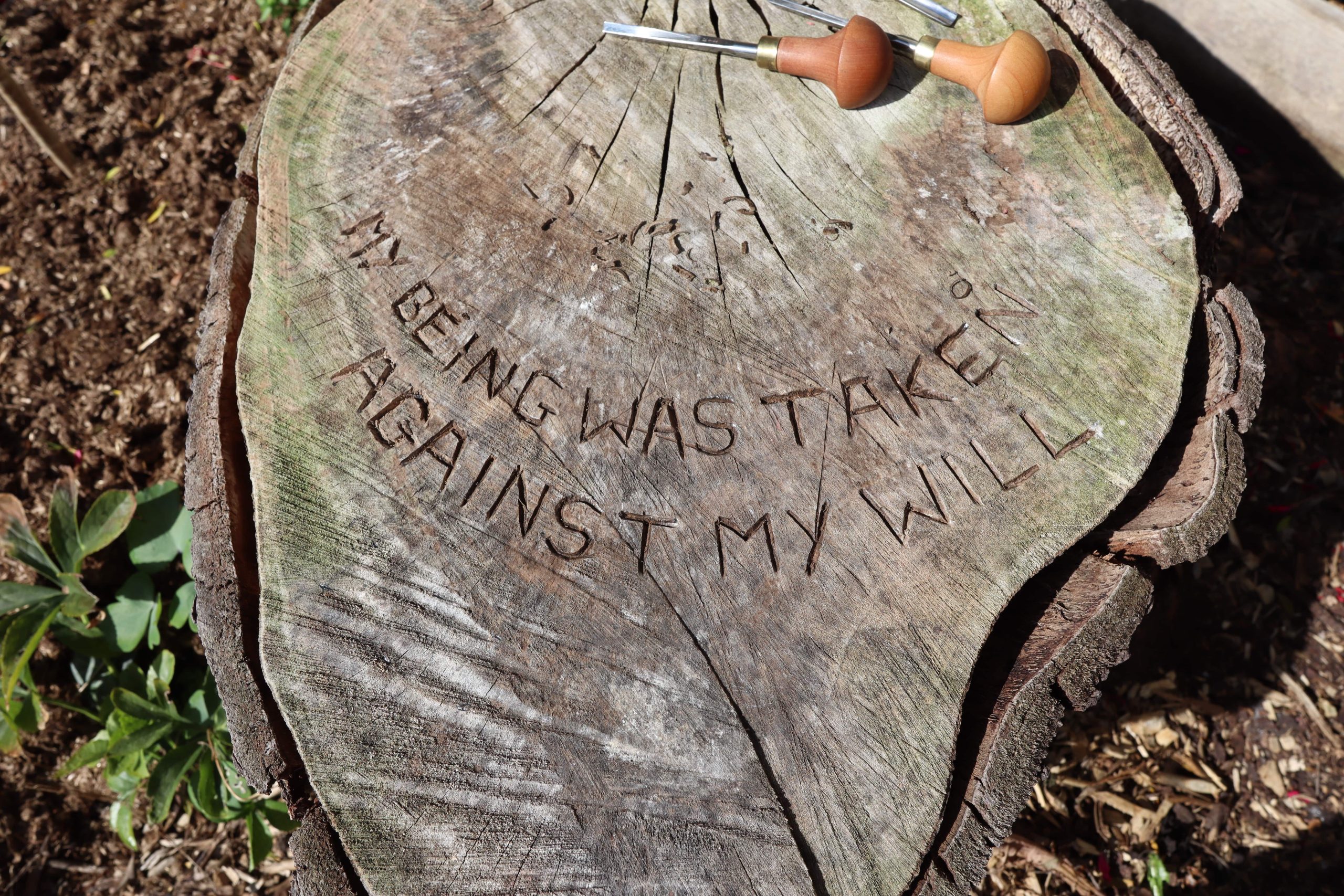 A tree stump with a wood carving tool and the words "my being was taken against my will" carved into it