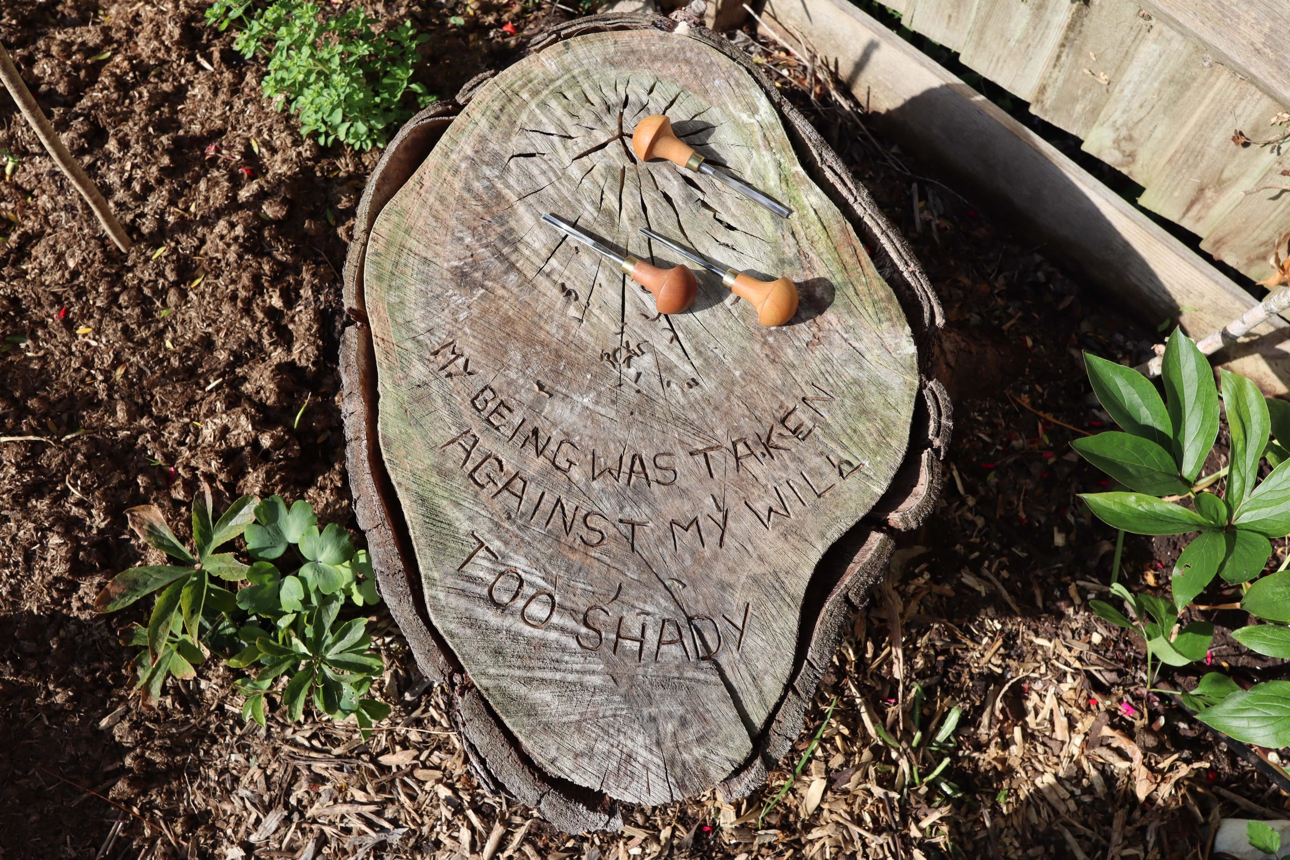 A tree stump with a wood carving tool and the words "my being was taken against my will. Too shady" carved into it