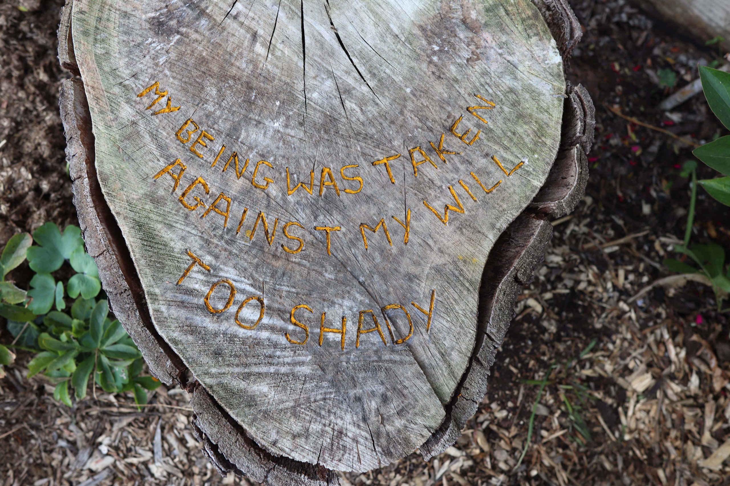 A tree stump with the words "being was taken against" carved into it