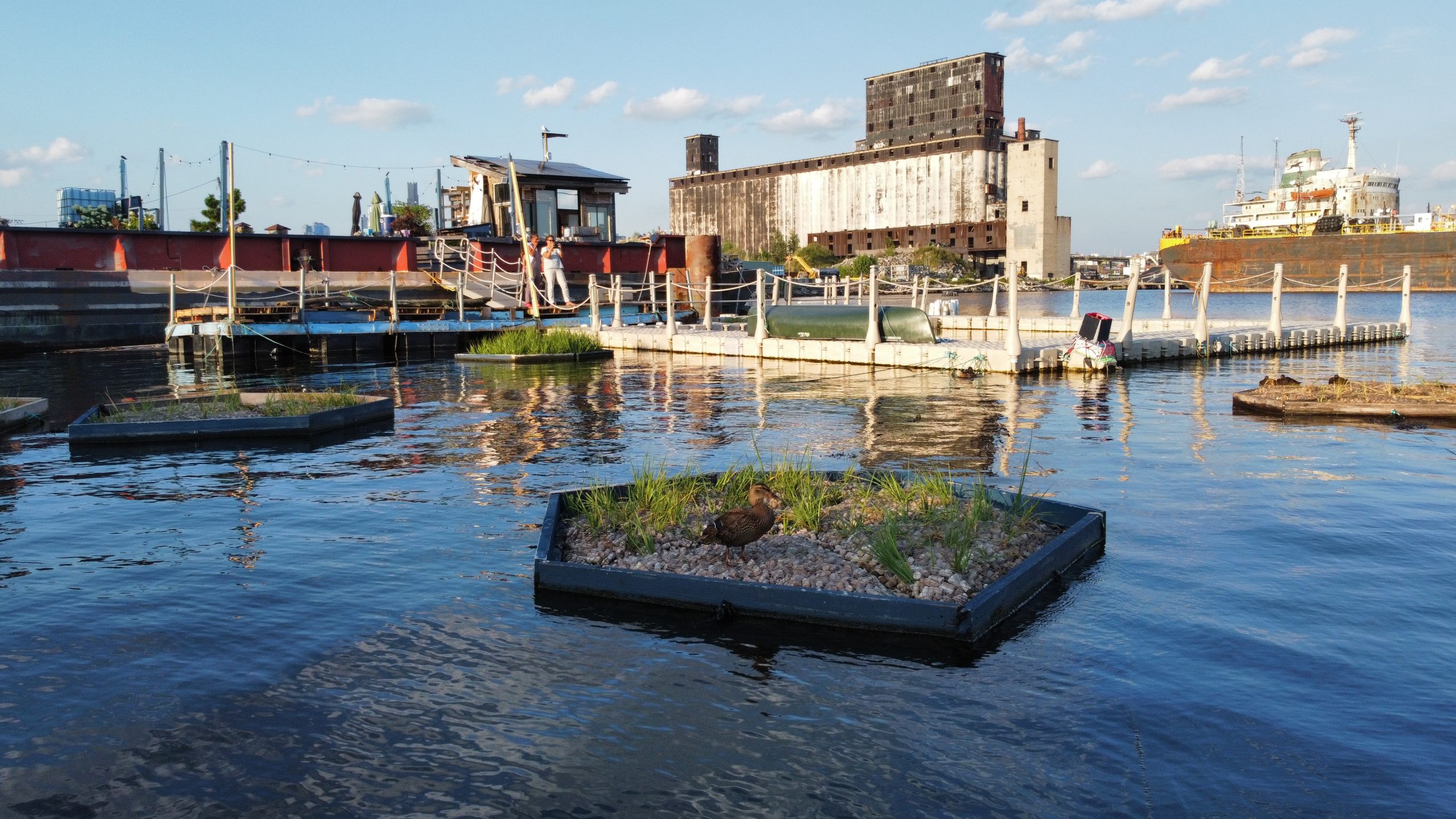 Floating gardens on the water next to a dock