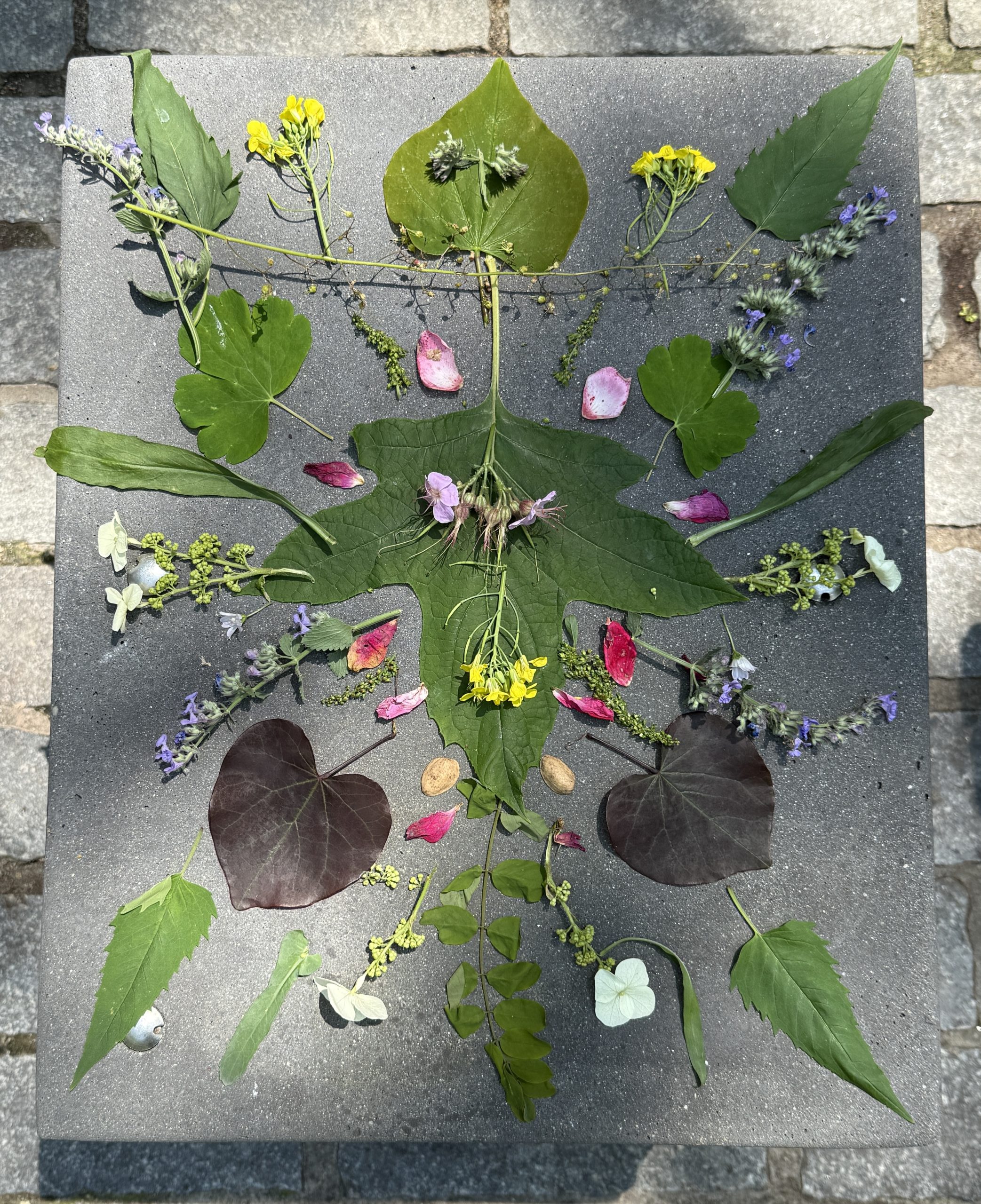 A group of flowers and leaves on a grey surface
