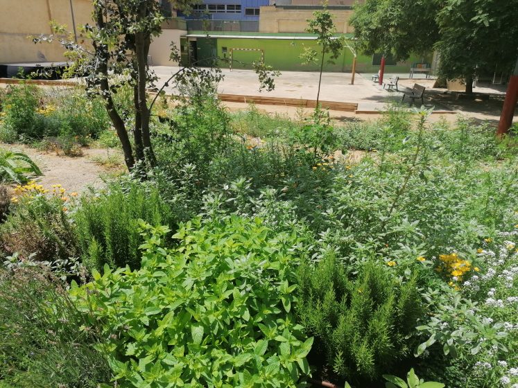 A green garden with flowers and small trees