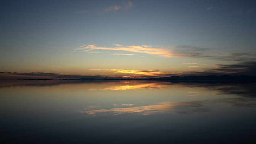 Great Salt Lake Part III: Finding joy in the smallest of things