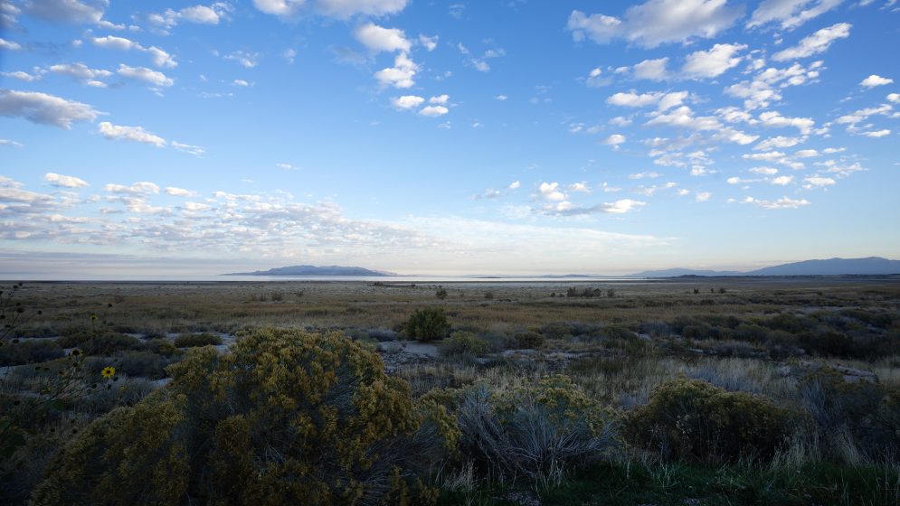 A landscape with bushes and a blue sky