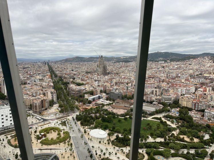 A cityscape full of green parks and walkways from a tall building