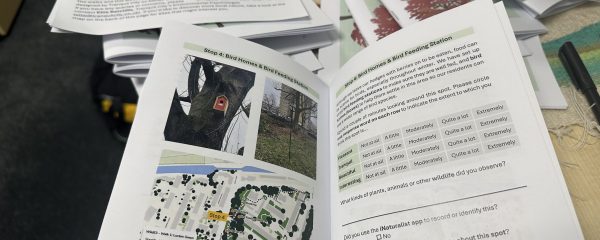Tranquil City’s Guidebook to City Greening: The mission to ensure urban greening research is accessible for all