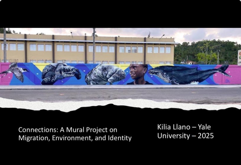 A mural of ocean creatures including a whale, a manatee, a sea turtle, a bird, and a child admiring them