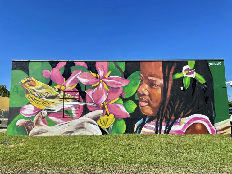 A mural of a young girl , flowers, and birds