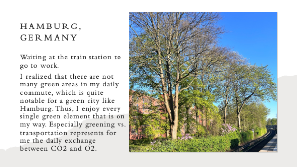 Tall trees next to the train tracks