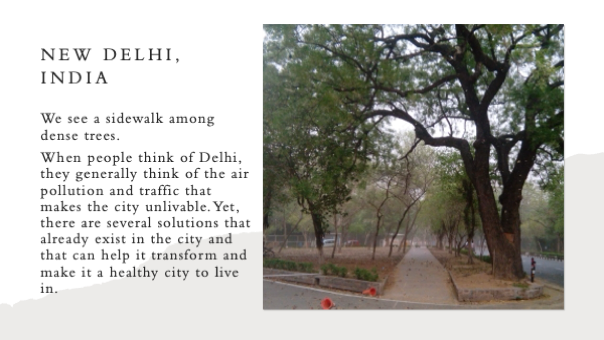 A road with trees and a path