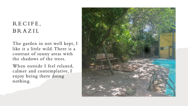 A pool with trees and a bench