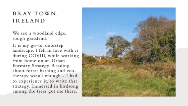 A grassy field and trees