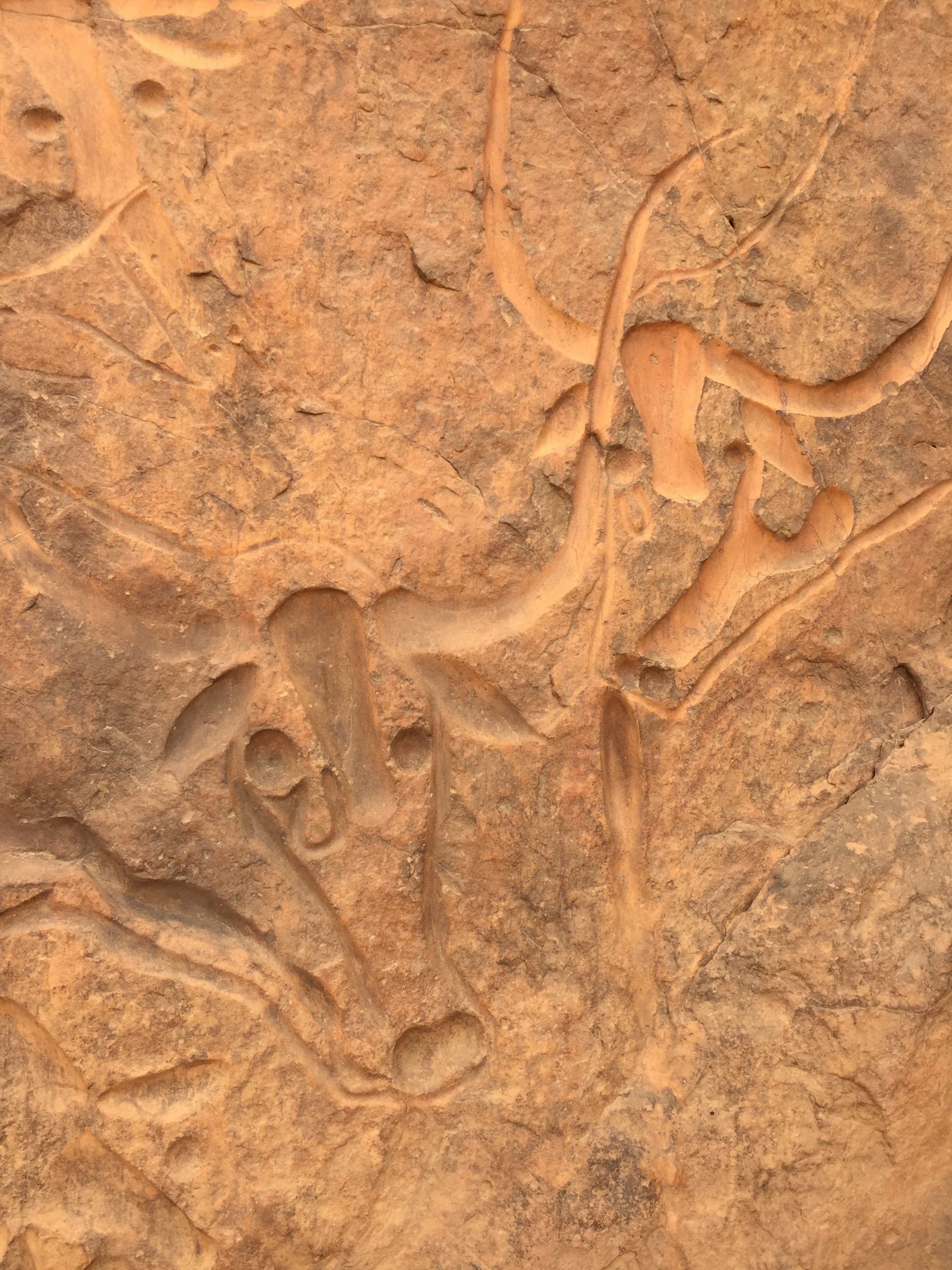 A red rock engraved an outline of a cow or bull