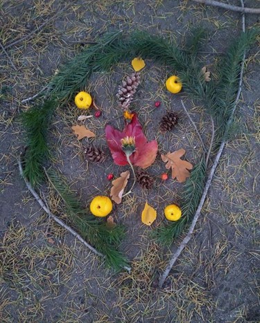 A circle of leaves, sticks, and fruits on the ground