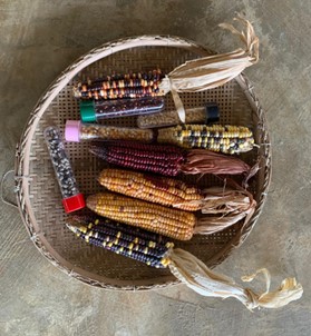 A basket with corn and seeds