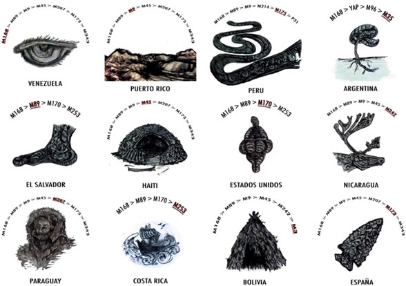 A collection of drawings of different types of animals, body parts, plants, and homesteads