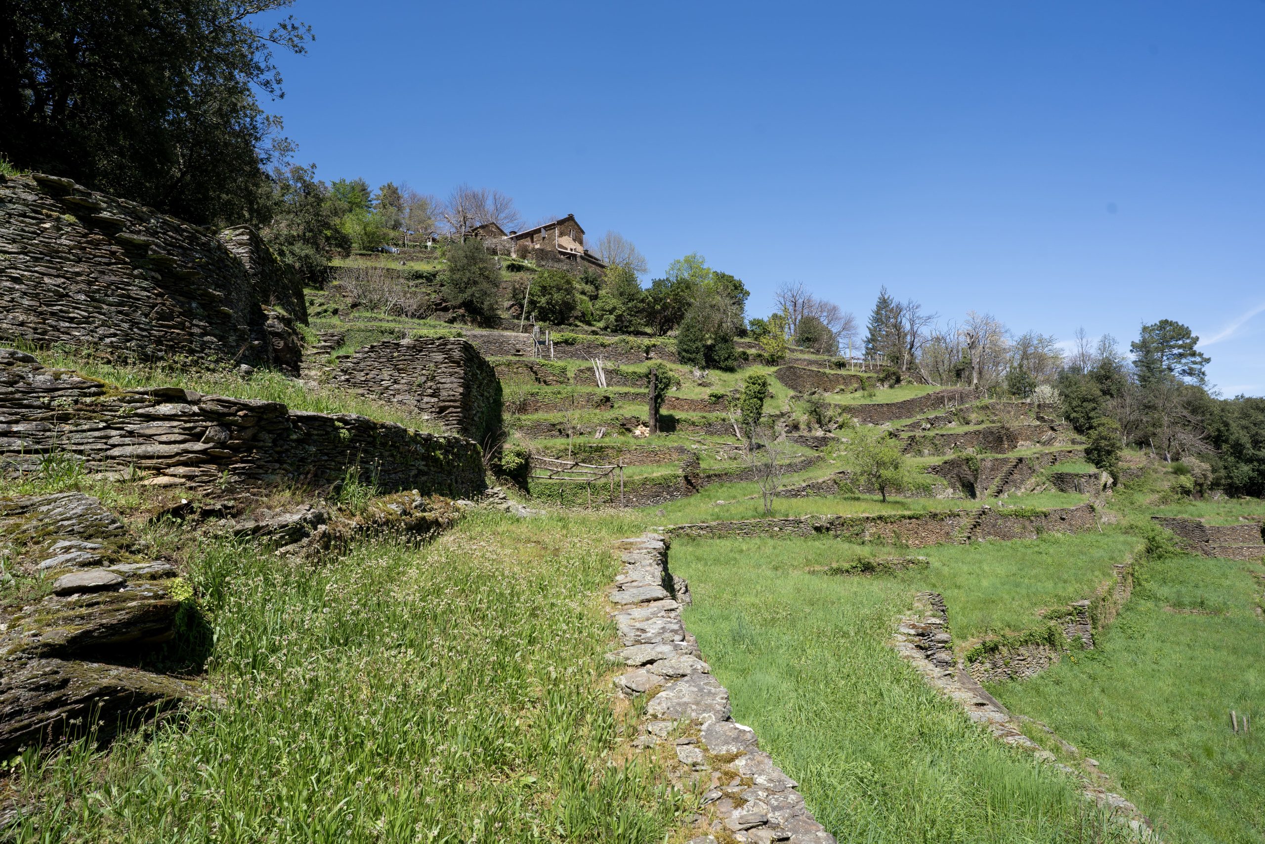 A green grassy field with rocky paths and walls