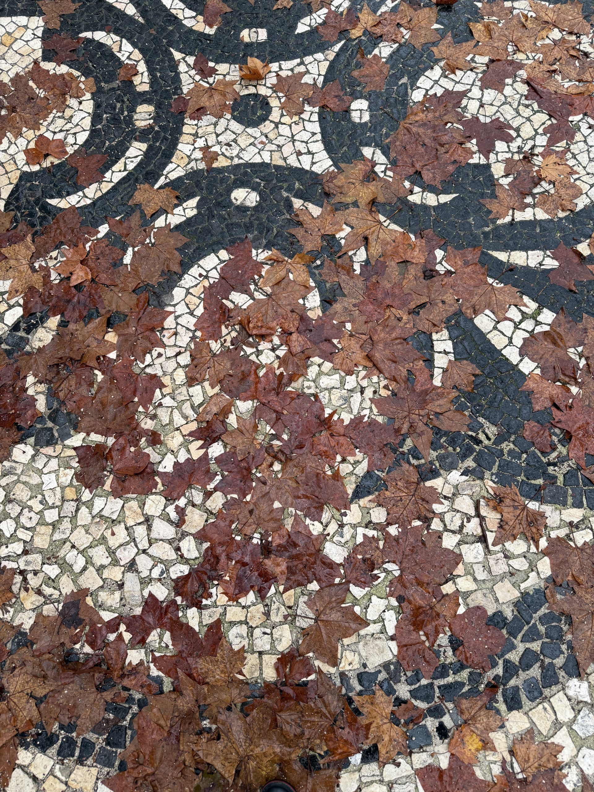 A close-up of leaves on a mosaic floor