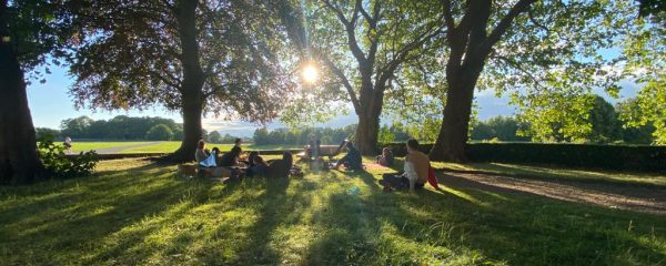 The Art of Growing Back: Why Regeneration, not Sustainability, is the real logic of abundance