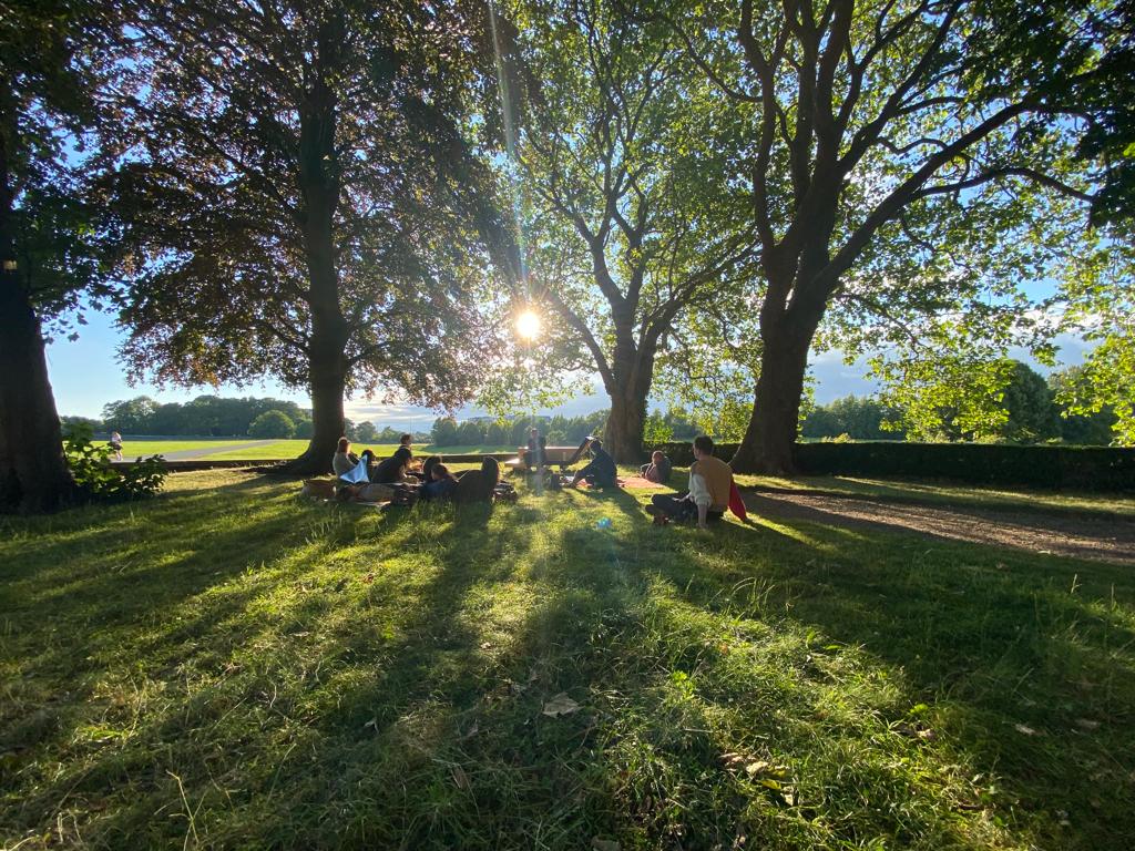 The Art of Growing Back: Why Regeneration, not Sustainability, is the real logic of abundance