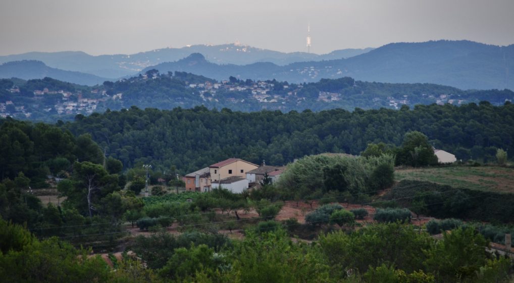 This is a a photo of a natural area in Catalonia, Spain with mountains and a vast green forest