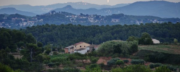 The City and the Forest: Global Paradoxes, Sustainable Metropolitan Futures