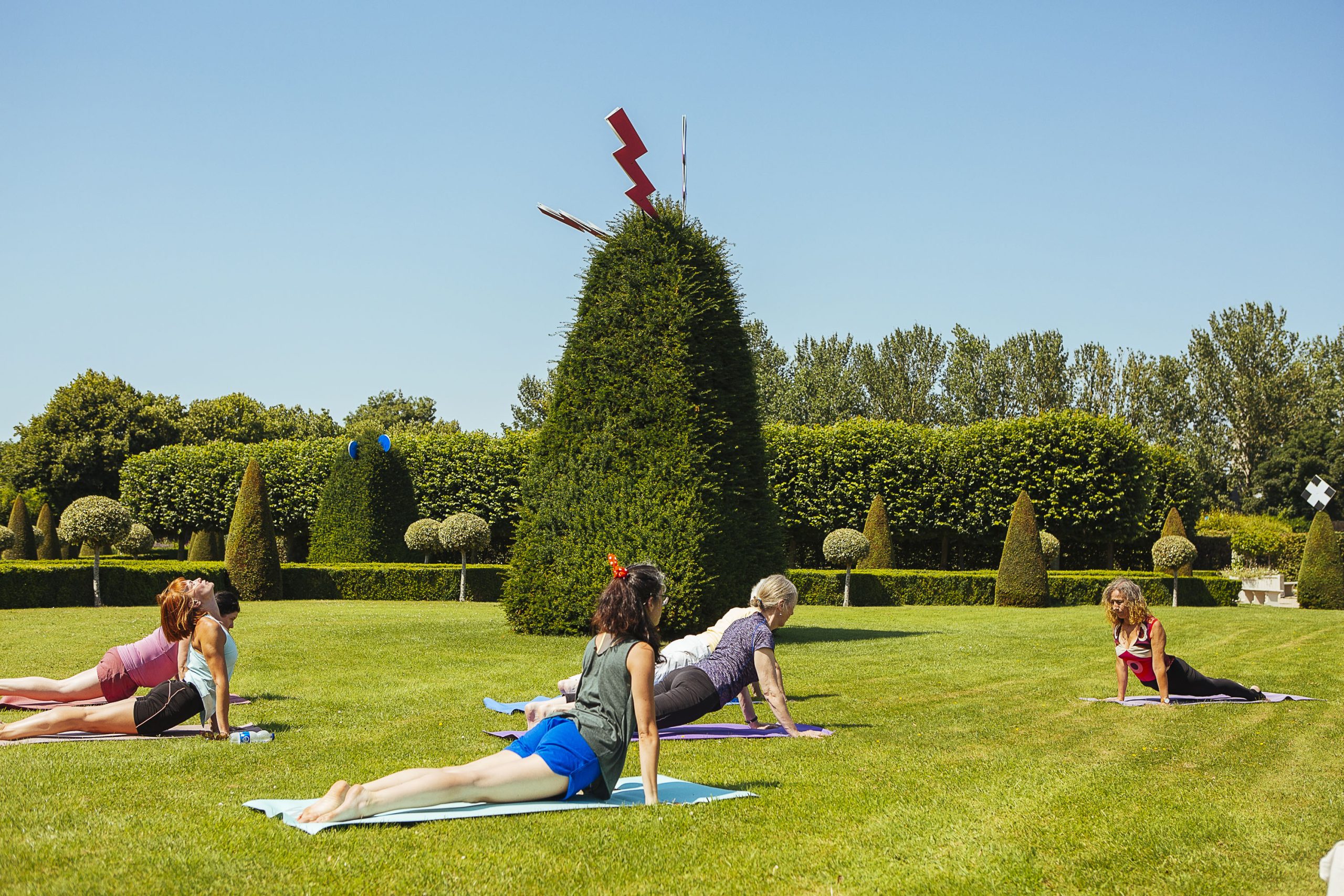 A small group of people doing yoga in a grassy yard