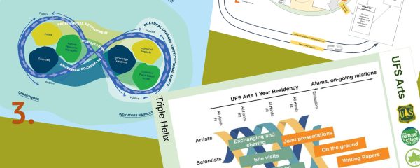 How Artists Help to Transform Natural Resources Management: Building a theory of change