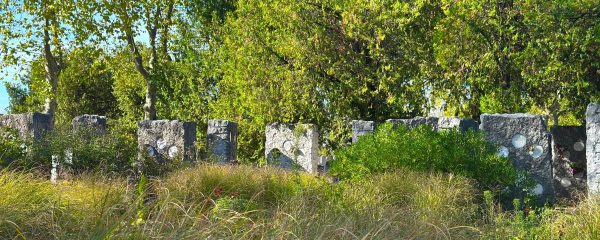 Repurposing and Renaturalising Graveyards: From silent landscapes to living urban commons