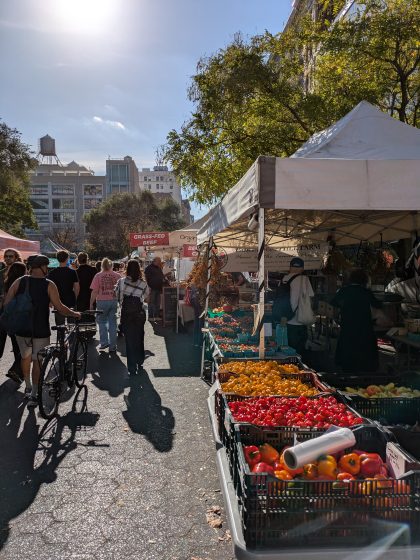 Photo of an outdoor farmers market with various fresh produce displayed in crates under white tents, including red and yellow peppers. People walk and bike along a sunlit street lined with trees and buildings in the background