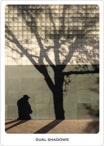 Photo showing dual shadows cast on a tiled wall, one of a person wearing a hat and the other of a tree with branches and leaves. The wall features a grid pattern with translucent upper tiles and solid lower tiles, creating contrast that highlights the distinct shadows and their elongated forms.