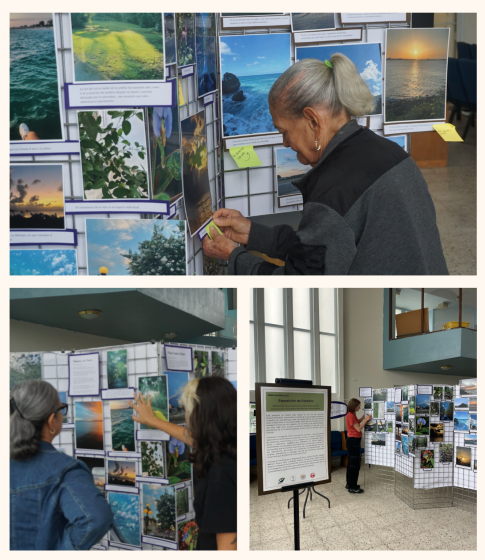 Three photos of people marking, pointing at, or reading the captions on a wall of printed photographs of nature scenes including sunsets, fields, tree canopies, and the ocean.