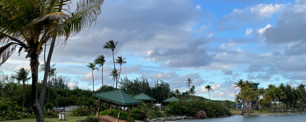 Framing the Future: Voices and Visions of Youth in Puerto Rico