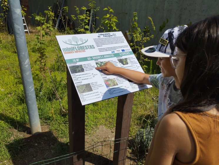 Photo showing two people reading an informational sign about mini forests in an outdoor garden area. Sign includes text, images, and a green header, providing details on forest types, benefits, and planting guidelines.