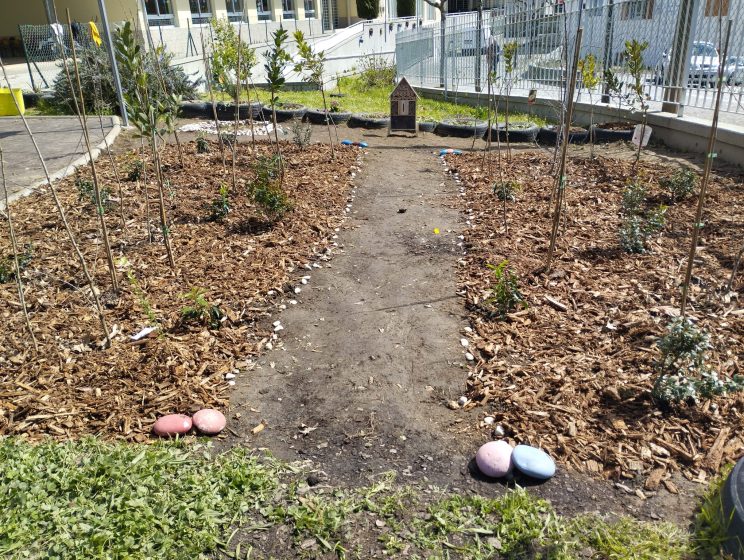 Photo of a small garden plot with a dirt pathway running down the center, bordered by mulch and young plants on both sides. Colorful painted rocks mark the pathway edges, and a small wooden birdhouse stands at the far end near a fence and building.