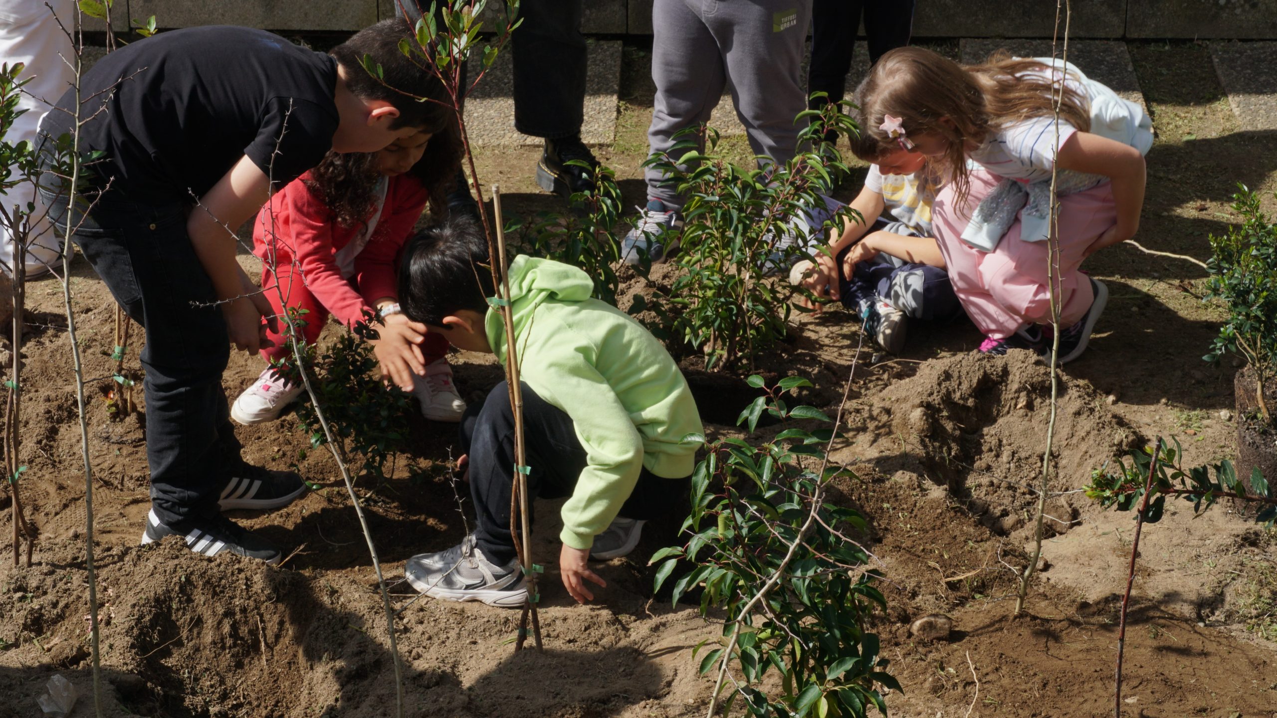 Photo showing a group of children engaged in planting or gardening activity outdoors, surrounded by small plants and soil mounds. Children are focused on digging and placing plants, indicating a hands-on learning or environmental project in a natural setting.