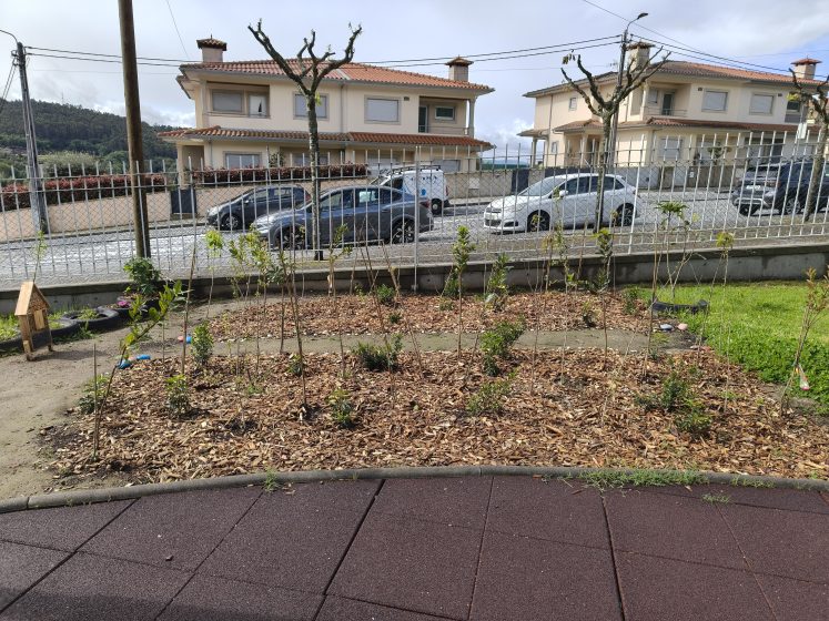 Photo of a small garden plot with young plants and mulch, bordered by a metal fence and a paved area in the foreground. Residential houses and parked cars are visible in the background.
