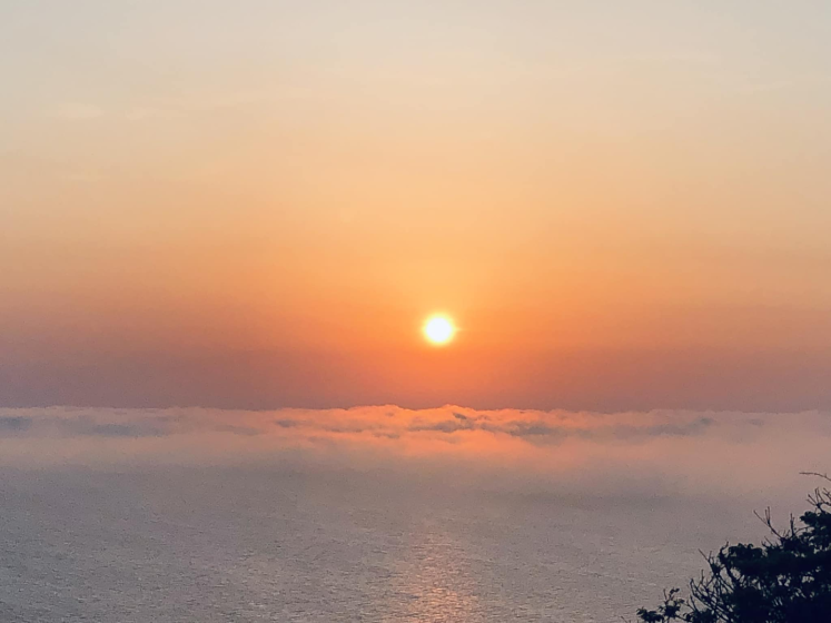 Photo of a sunset over an ocean with a layer of clouds near the horizon, casting an orange and pink glow across sky and water. Silhouetted tree branches appear on the right side, adding depth and contrast to the serene seascape.