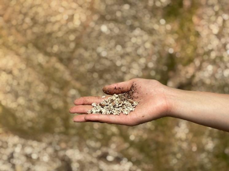 Photo of a hand holding a small pile of crushed shells or gravel with dirt on fingers. Background consists of a blurred surface covered with similar crushed material