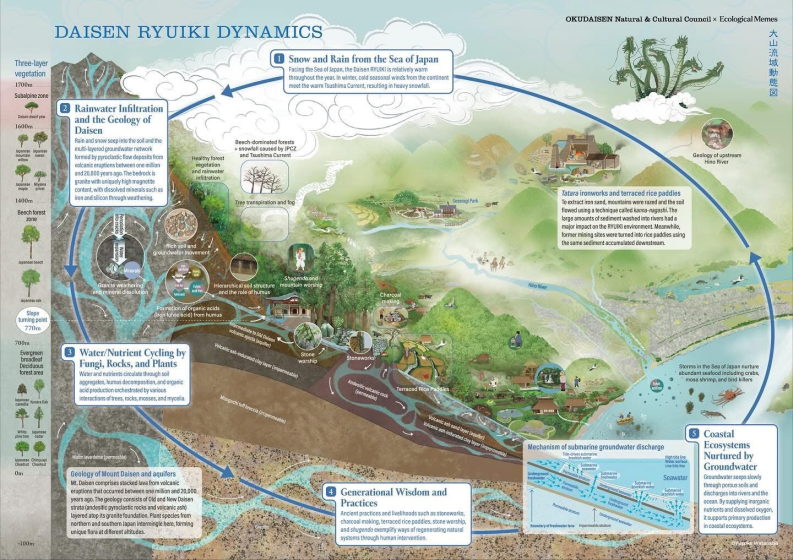 Diagram illustrating Daisen Ryuiki Dynamics, focusing on water cycle, geology, and ecosystem interactions in a mountainous region. It highlights rainwater infiltration, water/nutrient cycling by fungi and plants, geological processes, and coastal aquifer recharge, using labeled sections, arrows, and color-coded zones to show flow paths and ecological connections.