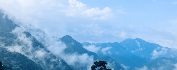 The Invisible Flows: Reactivating another way of knowing to Integrate the Inner and Outer Ryuiki (Part 3 of 3)