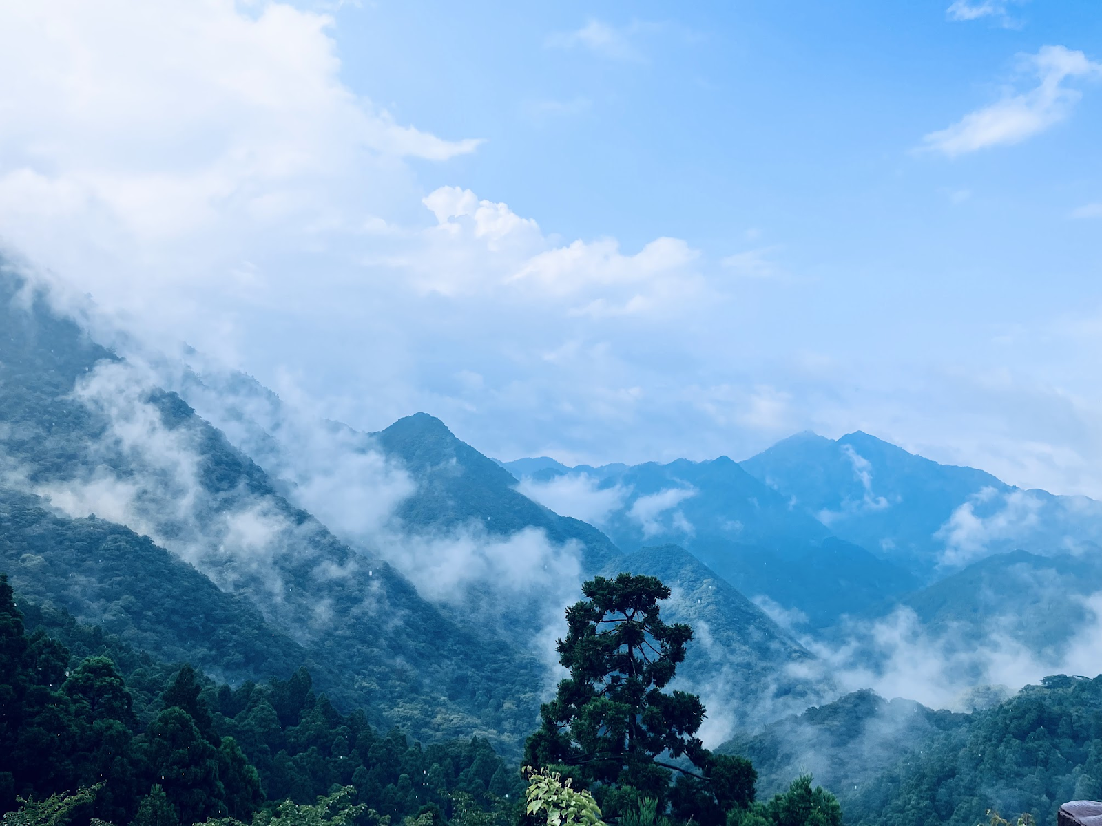 The Invisible Flows: Reactivating another way of knowing to Integrate the Inner and Outer Ryuiki (Part 3 of 3)