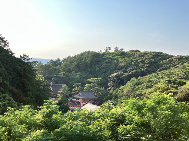 Photo of a traditional Japanese temple complex nestled within dense green forest and surrounded by hills under a clear sky. The scene highlights vibrant greenery in foreground and midground with temple rooftops featuring distinct red and white colors partially visible among trees.