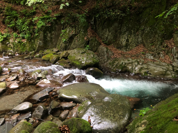 Photo of a flowing stream surrounded by moss-covered rocks and dense green foliage. The scene highlights clear, moving water cascading over stones with a rocky cliff face in the background