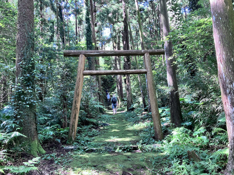 Photo of a forest pathway featuring a traditional wooden torii gate, symbolizing entrance to a sacred area. The scene includes tall trees, dense green foliage, and a person walking along the moss-covered path