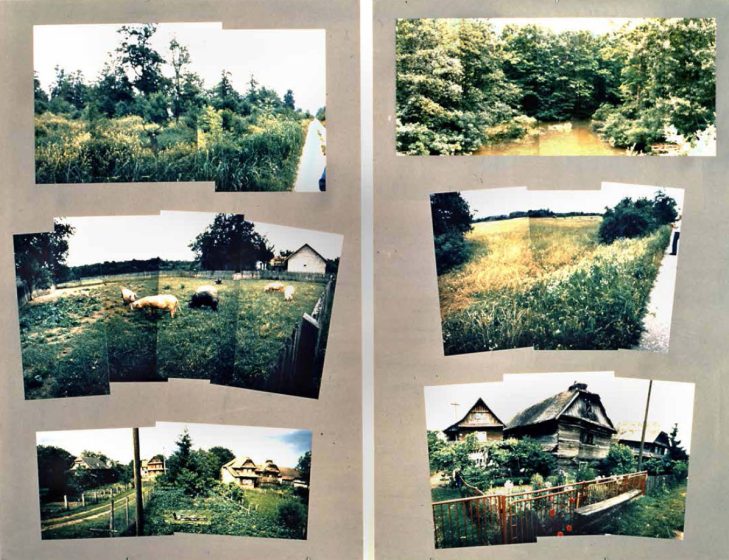 Photograph collage showing rural landscapes with fields, livestock such as sheep, trees, and traditional houses.