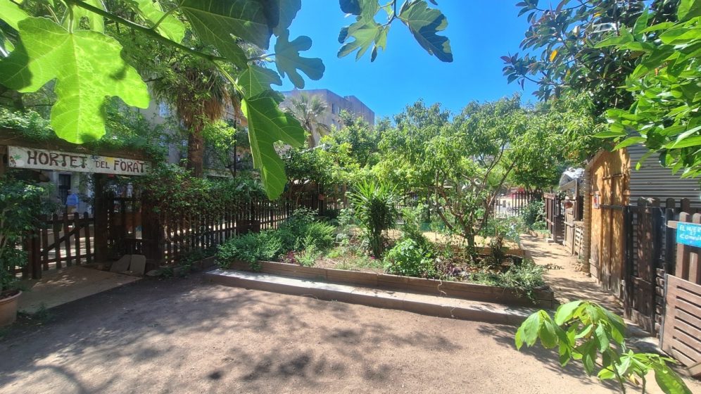 Photo of a community garden named "Hortet del Forat" featuring various green plants and trees under a clear blue sky. The garden is enclosed by wooden fences with visible signage and pathways, highlighting a peaceful urban green space