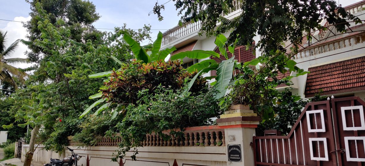 Photo of a residential house partially obscured by lush green trees and plants, showcasing a gated entrance with brown and white design elements. The scene shows a peaceful suburban environment with clear sky and natural foliage surrounding the property.