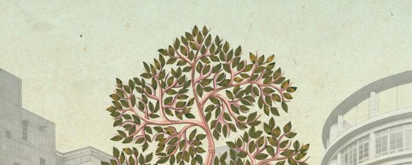 Students and Stewardship: Connecting with Nature in a Peri-urban University Campus