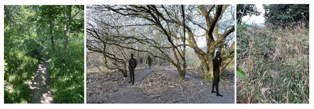 Photo collage showing three outdoor scenes with dense vegetation and trees. Central photo features two silhouettes of people walking on a leaf-covered path under bare branches, while side photos display lush green foliage and overgrown bushes.